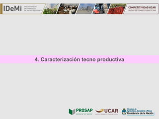 TÍTULO4. Caracterización tecno productiva
 