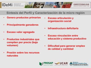 TÍTULO
Síntesis del Perfil y Caracterización de la micro región
• Genera productos primarios
• Principalmente ganaderos
• Escaso valor agregado
• Productos industriales que
compiten por precio (bajo
volumen)
• Presión sobre los recursos
naturales
• Escasa articulación y
organización social
• Infraestructura deficitaria
• Escasa vinculación entre
educación y sistema productivo
• Dificultad para generar empleo
de calidad y cantidad
 
