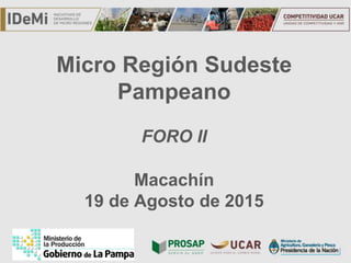 TÍTULO
Micro Región Sudeste
Pampeano
FORO II
Macachín
19 de Agosto de 2015
 
