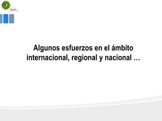 Algunos esfuerzos en el ámbito
internacional, regional y nacional …
 