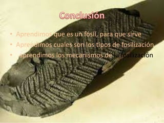 • Aprendimos que es un fósil, para que sirve
• Aprendimos cuales son los tipos de fosilización
• aprendimos los mecanismos de la fosilización
 
