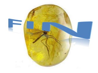 Presentaciónfosiles