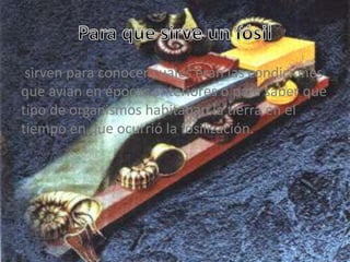 sirven para conocer cuales eran las condiciones
que avían en épocas anteriores o para saber que
tipo de organismos habitaban la tierra en el
tiempo en que ocurrió la fosilización.
 