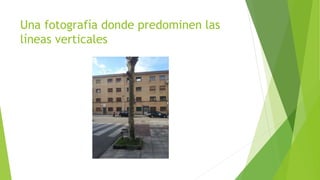 Una fotografía donde predominen las 
líneas verticales 
 