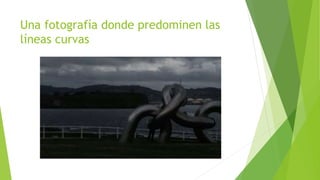 Una fotografía donde predominen las 
líneas curvas 
 