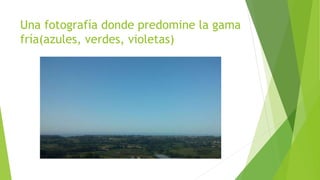 Una fotografía donde predomine la gama 
fría(azules, verdes, violetas) 
 