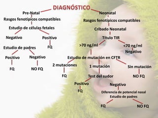 Pre-Natal                                      Neonatal
Rasgos fenotípicos compatibles                   Rasgos fenotípicos compatibles
  Estudio de células fetales                          Cribado Neonatal
 Negativo            Positivo                             Título TIR

                        FQ                  >70 ng/ml                   <70 ng/ml
Estudio de padres
                                                                         Negativo
Positivo     Negativo                 Estudio de mutación en CFTR
                             2 mutaciones           1 mutación             Sin mutación
   FQ         NO FQ
                                 FQ                Test del sudor             NO FQ
                                         Positivo              Negativo
                                            FQ            Diferencia de potencial nasal
                                                                Estudio de padres

                                                          FQ                     NO FQ
 