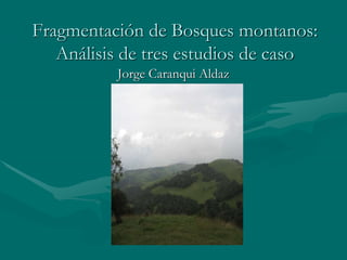 Fragmentación de Bosques montanos: 
Análisis de tres estudios de caso 
Jorge Caranqui Aldaz 
 
