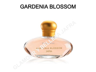 NAVIGO FEMMEGLAMOUR Y BELLEZA JAFRA