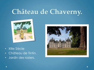 Château de Chaverny.
• XIIIe Siècle
• Château de Tintin.
• Jardin des rosiers.
 