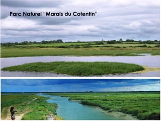 Parc Naturel “Marais du Cotentin”
 