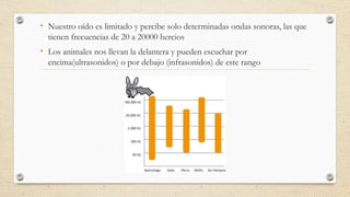 • Nuestro oído es limitado y percibe solo determinadas ondas sonoras, las que
tienen frecuencias de 20 a 20000 hercios
• Los animales nos llevan la delantera y pueden escuchar por
encima(ultrasonidos) o por debajo (infrasonidos) de este rango
 