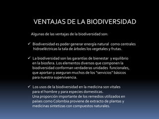 VENTAJAS DE LA BIODIVERSIDAD
Algunas de las ventajas de la biodiversidad son:
Biodiversidad es poder generar energía natural como centrales
hidroeléctricas la tala de árboles los vegetales y frutas.
La biodiversidad son las garantías de bienestar y equilibrio
en la biosfera. Los elementos diversos que componen la
biodiversidad conforman verdaderas unidades funcionales,
que aportan y aseguran muchos de los “servicios” básicos
para nuestra supervivencia.
Los usos de la biodiversidad en la medicina son vitales
para el hombre y para especies domesticas.
Una proporción importante de los remedios utilizados en
países como Colombia proviene de extracto de plantas y
medicinas sintetizas con compuestos naturales.