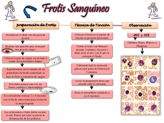 Presentacion frotis