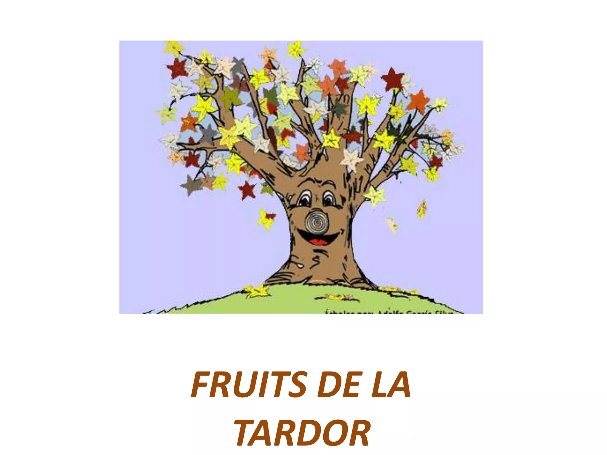 FRUITS DE LA TARDOR