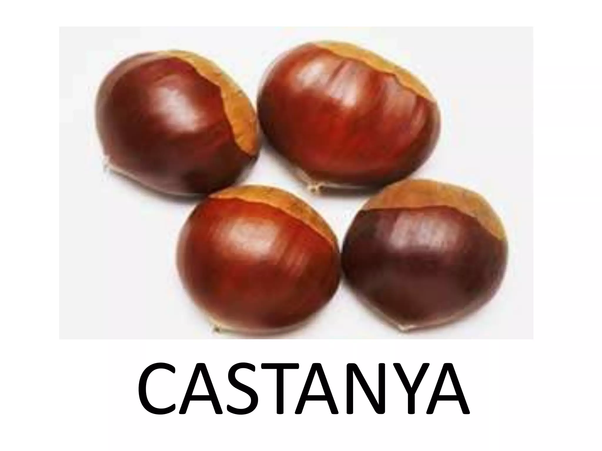 CASTANYA