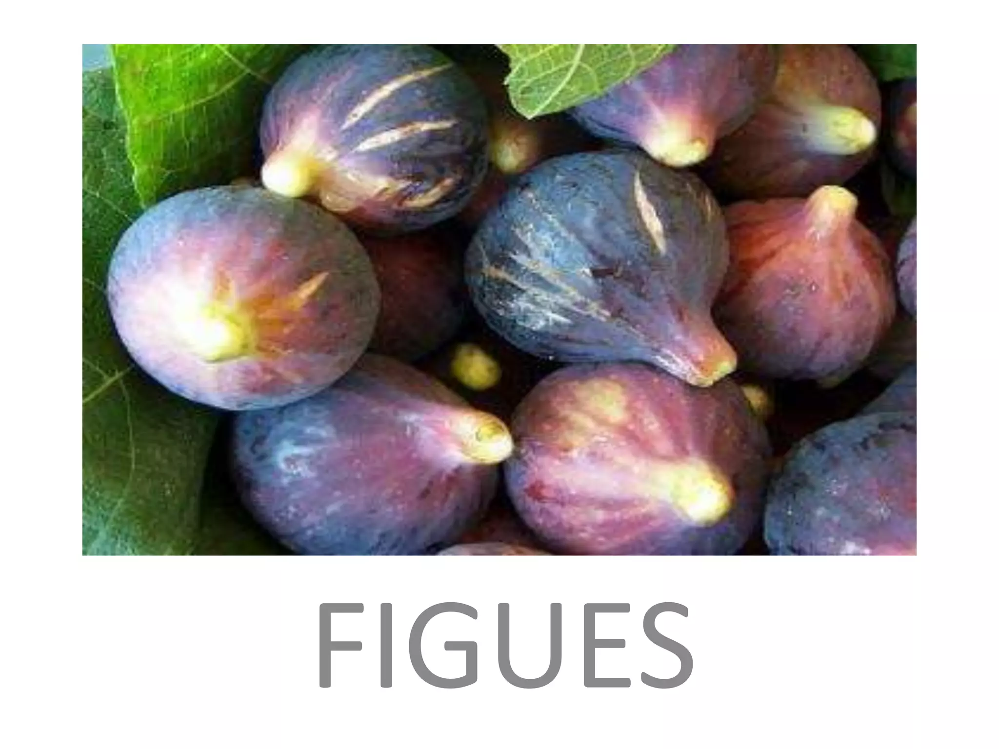 FIGUES