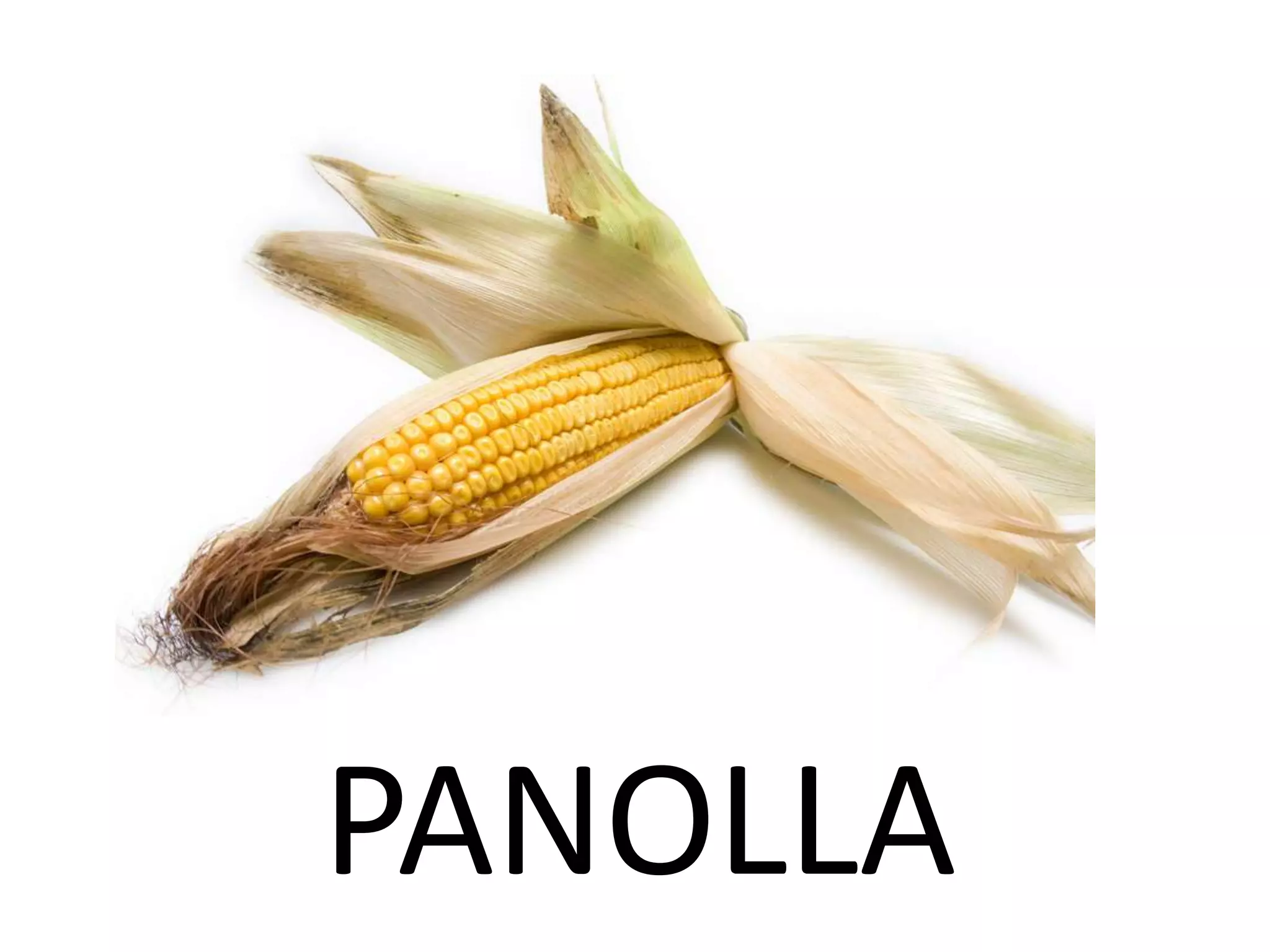 PANOLLA