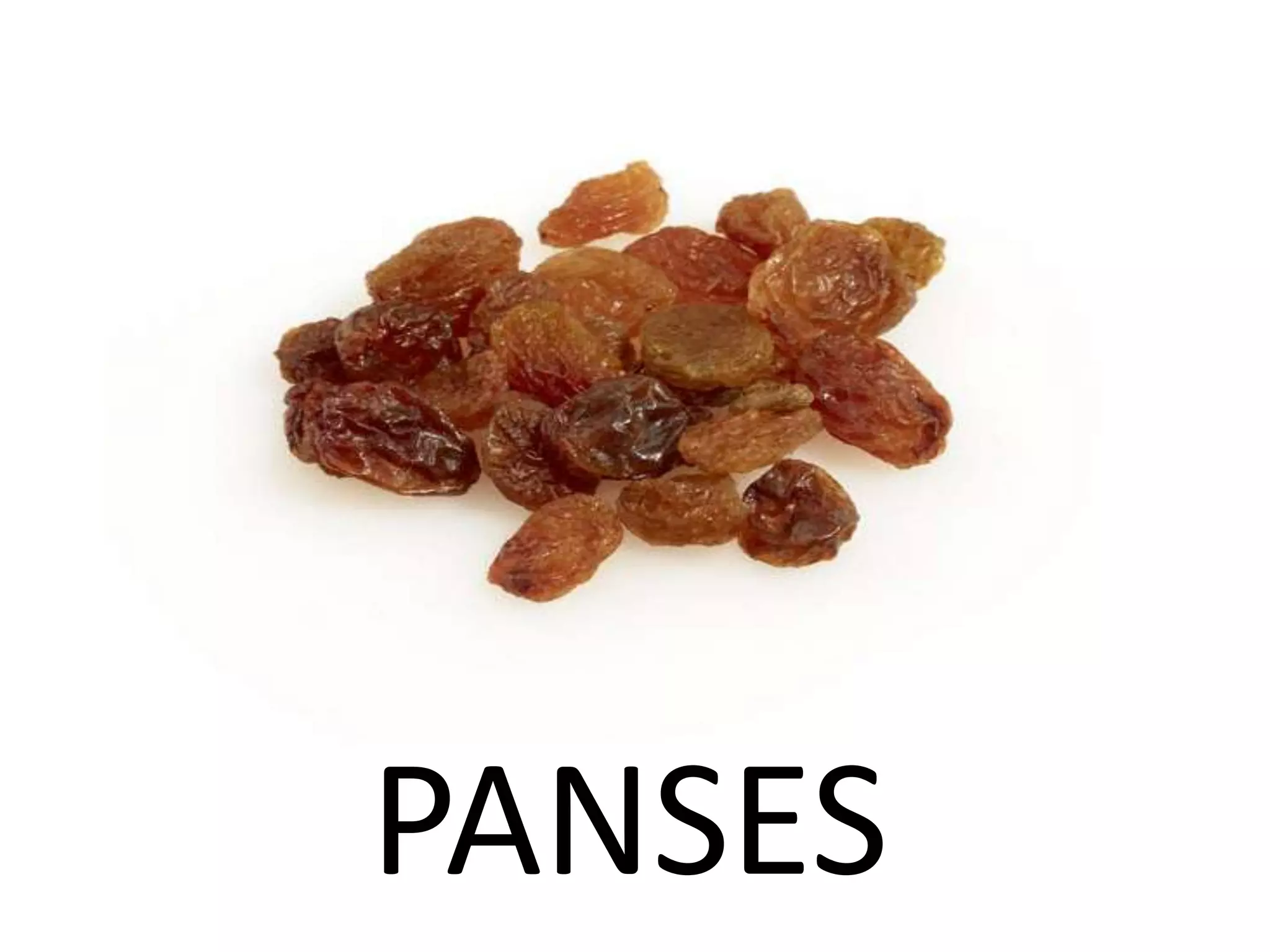 PANSES