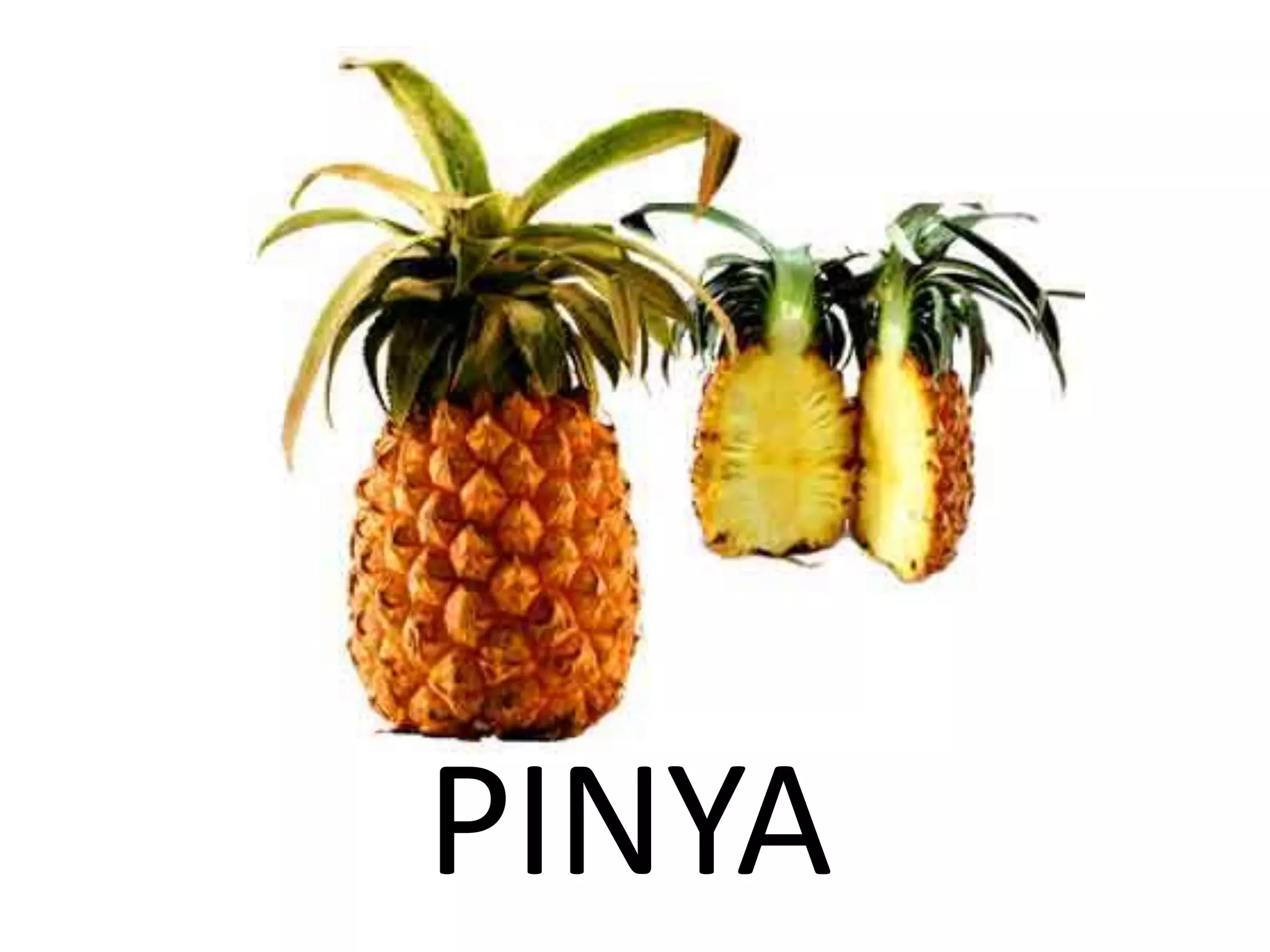 PINYA