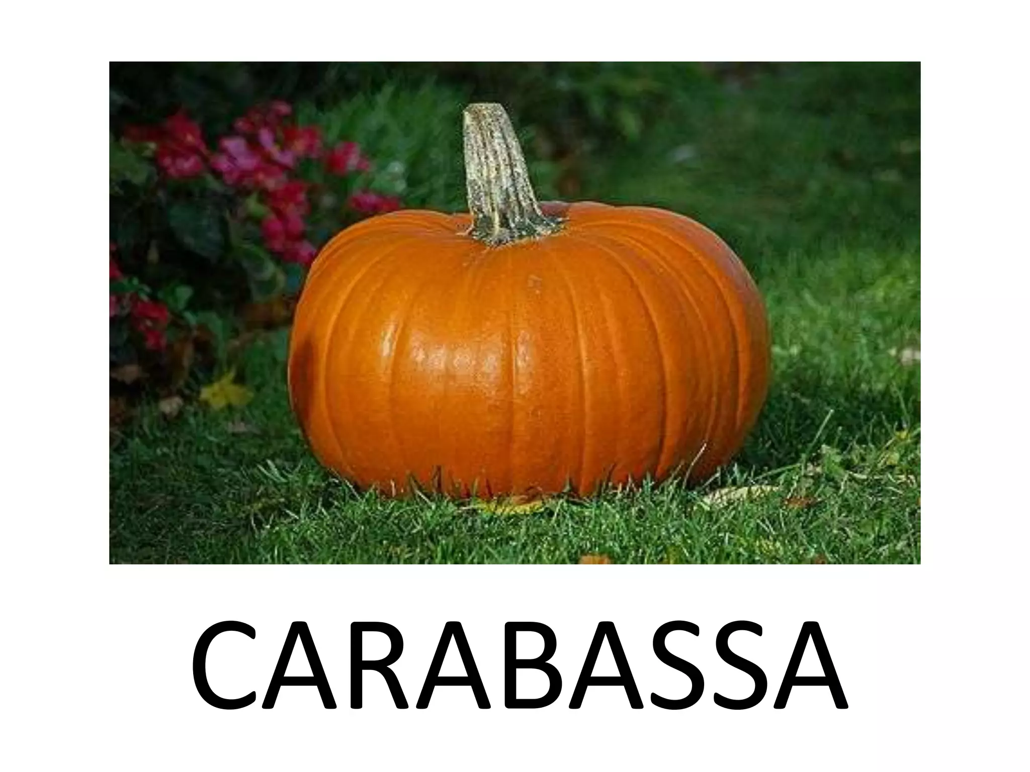 CARABASSA