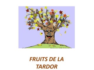 FRUITS DE LA TARDOR 