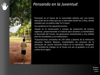 Pensando en la Juventud
Pensando en el futuro de la comunidad velamos por una buena
educación de los niños que van a internados desde los 5 años, siendo
visitados por sus padres cada 3 o 5 meses.
Los ayudamos en los siguientes puntos:
•Ayuda en la construcción y compra de producción de huertas
orgánicas, proporcionando el material para cosechar y enseñándoles
el desarrollo del mismo. Así generamos conocimiento y una utilidad
para los estudiantes y sus instituciones.
•Capacitaciones constantes de 250 niños y jóvenes de la institución
educativa Teodoro Weijnen, enseñándoles los procesos de la
plantación de caucho haciendo énfasis en la injertación, otorgando
una facilidad de trabajar en el Fondo una vez se gradúen o en otro
cultivo de la región.
La Primavera - 08/2012
 