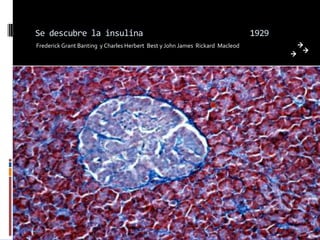 Se descubre la insulina                                                       1929
Frederick Grant Banting y Charles Herbert Best y John James Rickard Macleod
 