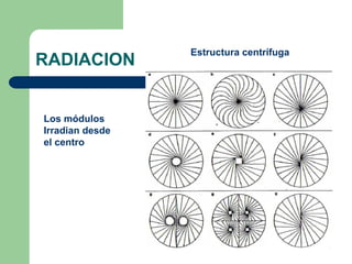 RADIACION
Estructura centrífuga
Los módulos
Irradian desde
el centro
 