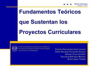 Fundamentos Teóricos
que Sustentan los
Proyectos Curriculares
Teoría Curricular
Semestre 2014-2
 
