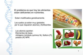 7
El problema es que hoy los alimentos
estan deficientes en nutrientes.
Estan modificados geneticamente.
Los suelos ya estan muy gastados
por lo que requieren abonos y fertilizantes
Los abonos aportan:
Elementos de base,
nitrógeno (símbolo químico N), fósforo (P),
potasio (K) NPK
 