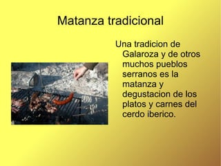 Matanza tradicional Una tradicion de Galaroza y de otros muchos pueblos serranos es la matanza y degustacion de los platos y carnes del cerdo iberico. 