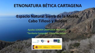 ETNONATURA BÉTICA CARTAGENA
Espacio Natural Sierra de la Muela,
Cabo Tiñoso y Roldán
Ayudas LEADER CAMPODER 2017-2021
“Territorio Campoder: Creciendo Juntos”
 