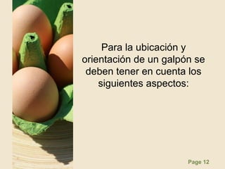 Page 12
Para la ubicación y
orientación de un galpón se
deben tener en cuenta los
siguientes aspectos:
 