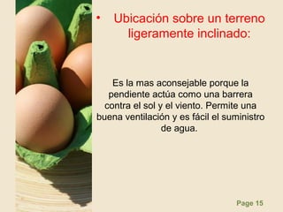 Page 15
• Ubicación sobre un terreno
ligeramente inclinado:
Es la mas aconsejable porque la
pendiente actúa como una barrera
contra el sol y el viento. Permite una
buena ventilación y es fácil el suministro
de agua.
 