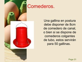 Page 21
Comederos.
Una gallina en postura
debe disponer de 8cm
de comedero de canal,
o bien si se dispone de
comederos colgantes
de tubo, estos servirán
para 50 gallinas.
 