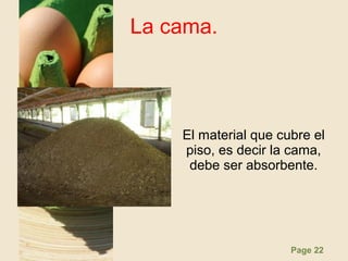 Page 22
La cama.
El material que cubre el
piso, es decir la cama,
debe ser absorbente.
 