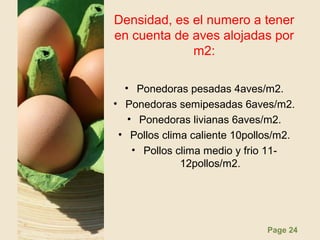 Page 24
Densidad, es el numero a tener
en cuenta de aves alojadas por
m2:
• Ponedoras pesadas 4aves/m2.
• Ponedoras semipesadas 6aves/m2.
• Ponedoras livianas 6aves/m2.
• Pollos clima caliente 10pollos/m2.
• Pollos clima medio y frio 11-
12pollos/m2.
 