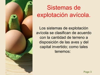 Page 3
Sistemas de
explotación avícola.
Los sistemas de explotación
avícola se clasifican de acuerdo
con la cantidad de terreno a
disposición de las aves y del
capital invertido; como tales
tenemos:
 