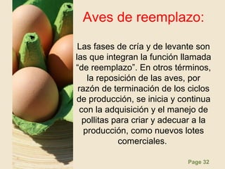Page 32
Aves de reemplazo:
Las fases de cría y de levante son
las que integran la función llamada
“de reemplazo”. En otros términos,
la reposición de las aves, por
razón de terminación de los ciclos
de producción, se inicia y continua
con la adquisición y el manejo de
pollitas para criar y adecuar a la
producción, como nuevos lotes
comerciales.
 