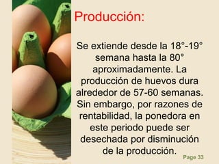Page 33
Producción:
Se extiende desde la 18°-19°
semana hasta la 80°
aproximadamente. La
producción de huevos dura
alrededor de 57-60 semanas.
Sin embargo, por razones de
rentabilidad, la ponedora en
este periodo puede ser
desechada por disminución
de la producción.
 