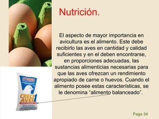 Page 34
Nutrición.
El aspecto de mayor importancia en
avicultura es el alimento. Este debe
recibirlo las aves en cantidad y calidad
suficientes y en el deben encontrarse,
en proporciones adecuadas, las
sustancias alimenticias necesarias para
que las aves ofrezcan un rendimiento
apropiado de carne o huevos. Cuando el
alimento posee estas características, se
le denomina “alimento balanceado”.
 