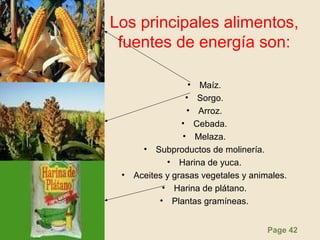 Page 42
Los principales alimentos,
fuentes de energía son:
• Maíz.
• Sorgo.
• Arroz.
• Cebada.
• Melaza.
• Subproductos de molinería.
• Harina de yuca.
• Aceites y grasas vegetales y animales.
• Harina de plátano.
• Plantas gramíneas.
 