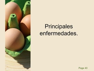 Page 43
Principales
enfermedades.
 