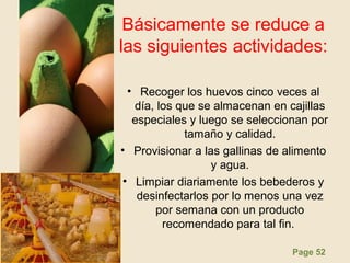 Page 52
Básicamente se reduce a
las siguientes actividades:
• Recoger los huevos cinco veces al
día, los que se almacenan en cajillas
especiales y luego se seleccionan por
tamaño y calidad.
• Provisionar a las gallinas de alimento
y agua.
• Limpiar diariamente los bebederos y
desinfectarlos por lo menos una vez
por semana con un producto
recomendado para tal fin.
 