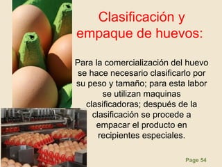 Page 54
Clasificación y
empaque de huevos:
Para la comercialización del huevo
se hace necesario clasificarlo por
su peso y tamaño; para esta labor
se utilizan maquinas
clasificadoras; después de la
clasificación se procede a
empacar el producto en
recipientes especiales.
 