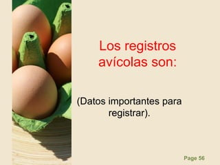 Page 56
Los registros
avícolas son:
(Datos importantes para
registrar).
 