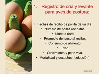 Page 57
1. Registro de cría y levante
para aves de postura:
• Fechas de recibo de pollita de un día.
• Numero de pollas recibidas.
• Línea o raza.
• Promedio del peso al recibo.
• Consumo de alimento.
• Edad.
• Crecimiento y peso vivo.
• Mortalidad y desechos (selección).
 