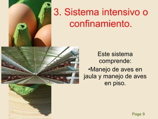 Page 9
3. Sistema intensivo o
confinamiento.
Este sistema
comprende:
•Manejo de aves en
jaula y manejo de aves
en piso.
 