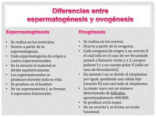 • Se realiza en los testículos.
• Ocurre a partir de la
espermatogonia.
• Cada espermatogonia da origen a
cuatro espermatozoides.
• En la meiosis el material se
divide equitativamente.
• Los espermatozoides se
producen durante toda su vida.
• Se produce en el hombre.
• De un espermatocito I, se forman
4 espermios funcionales.
• Se realiza en los ovarios.
• Ocurre a partir de la ovogonia.
• Cada ovogonia da origen a un ovocito II
el cual sólo en el caso de ser fecundado
pasará a llamarse óvulo y a 2 cuerpos
polares I y a un cuerpo polar II (sólo en
caso de fecundación).
• En meiosis I no se divide el citoplasma
por igual, quedando una célula hija
(ovocito II) con casi todo el citoplasma.
• La mujer nace con un número
determinado de folículos,
aproximadamente 400.000.
• Se produce en la mujer.
• De un ovocito I, se forma un óvulo
funcional.
 